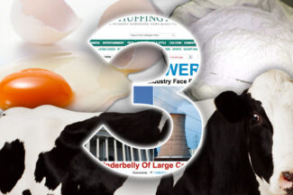 3 Important Ingredients of Web Design
