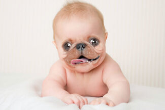 You Have An Ugly Baby
