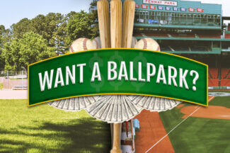 Website Cost: A Day at the Ballpark